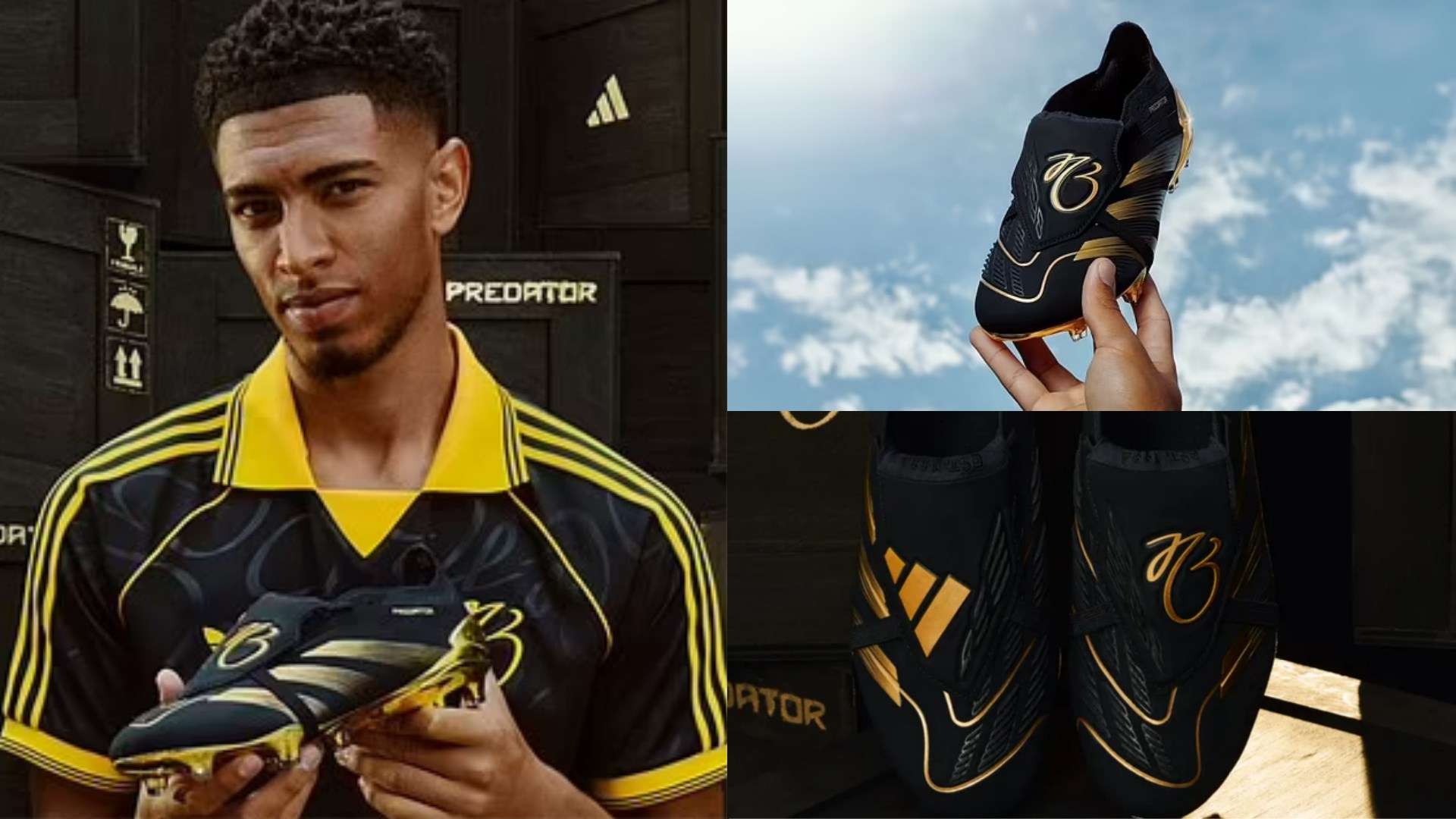 说到隐匿在 说到隐匿在